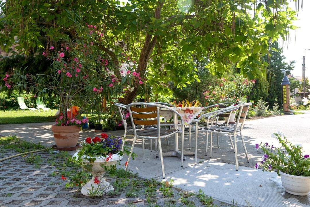 Bed and Breakfast Harang Panzió Gyomaendrőd Exterior foto